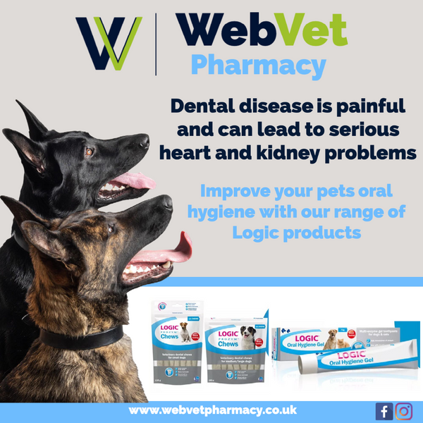 Dog Dental Disease Logic 