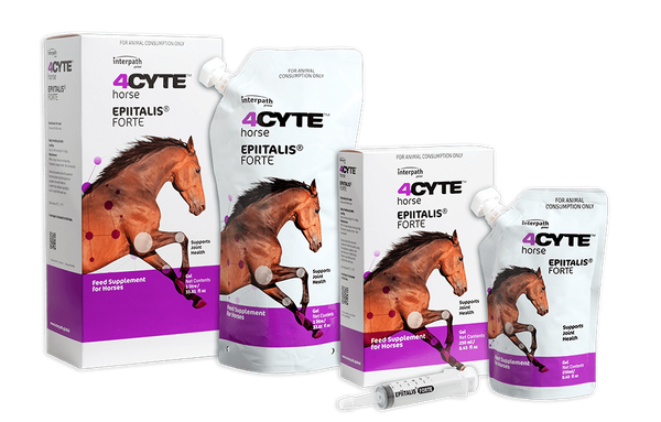 4CYTE Epiitalis Forte - Horse