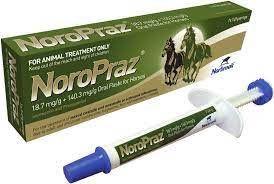 Noropraz 18.7 mg/g + 140.3 mg/g Oral Paste for Horses