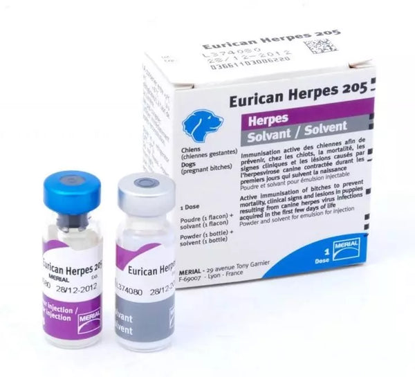 Eurican Herpes Vaccine - Single Dose **Due Back In stock Feb 2023**