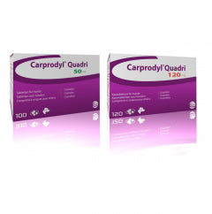 Carprodyl Quadri Tablets