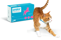 Onsior Tablets (Cat)